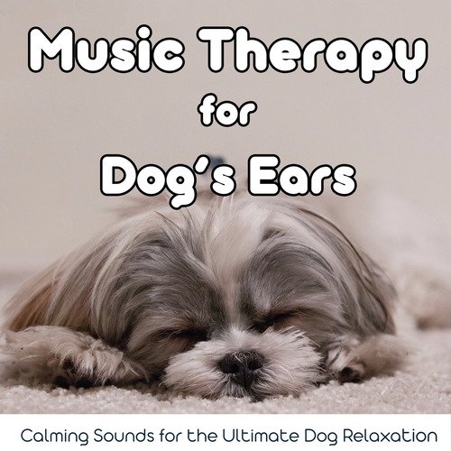 Relax My Dog Music