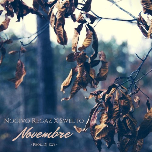 Novembre (feat. Swelto & DJ Exy)_poster_image