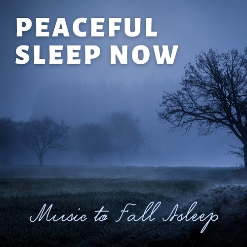 Sleep Soundscapes cover art