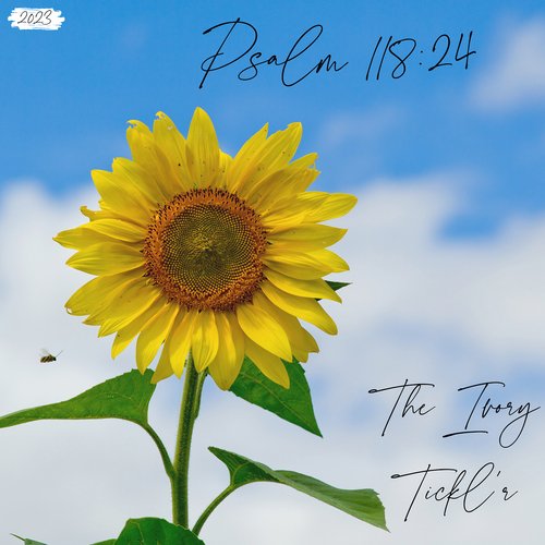 The cover art