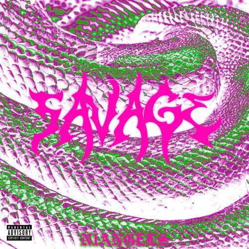 SAVAGE cover art