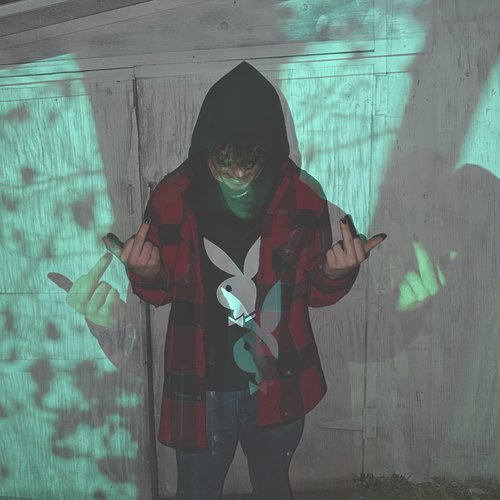 Bmg cover art