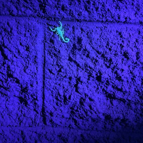 Y2k Felt Personal cover art