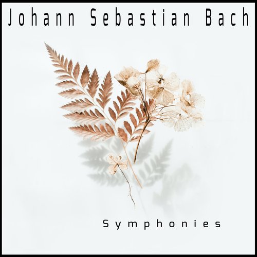 Symphonies (Electronic Version)