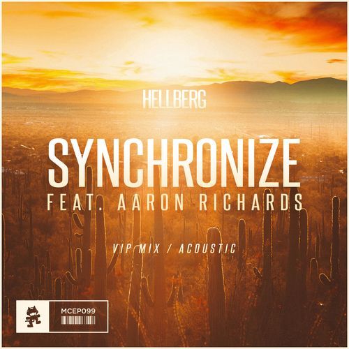 Synchronize (VIP / Acoustic)