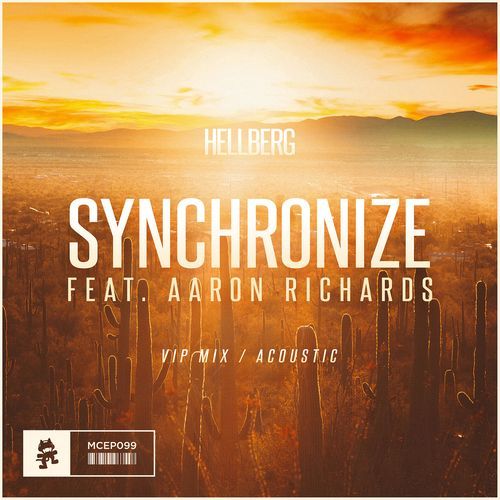 Synchronize (VIP Mix / Acoustic)