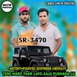 TERE MARE THAR LAYO AAJA PUNHANA LU