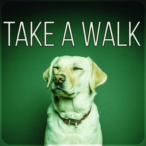 Take a Walk - Calm Down Your Animal Companion, Soothing Nature Sounds for Puppies & Cats