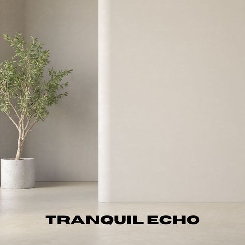 Tranquil Echo_poster_image