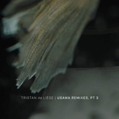 Horizons (Tristan de Liège Remix) cover art