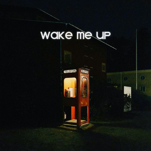Wake Me Up cover art