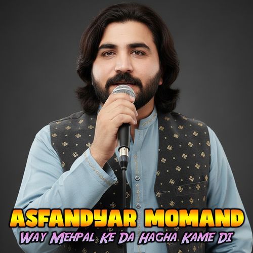 Way Mehpal Ke Da Hagha Kame Di