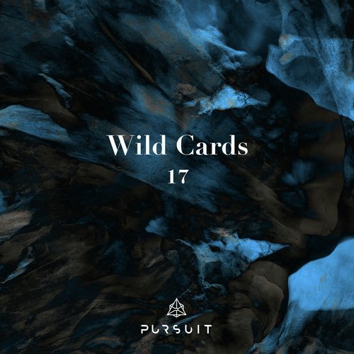 Wild Cards 17