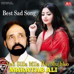Ek Bewafa Ki Yaad Main