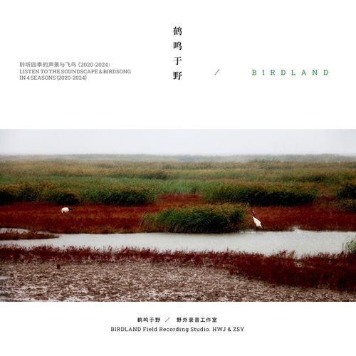 平沙落雁(Ping Sha Luo Yan)