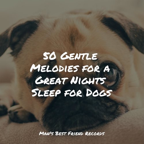 Meditating Music cover art