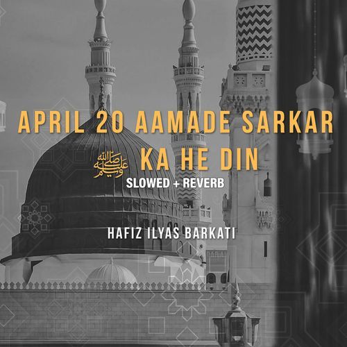 April 20 Aamade Sarkar Ka He Din (Lofi-Mix)