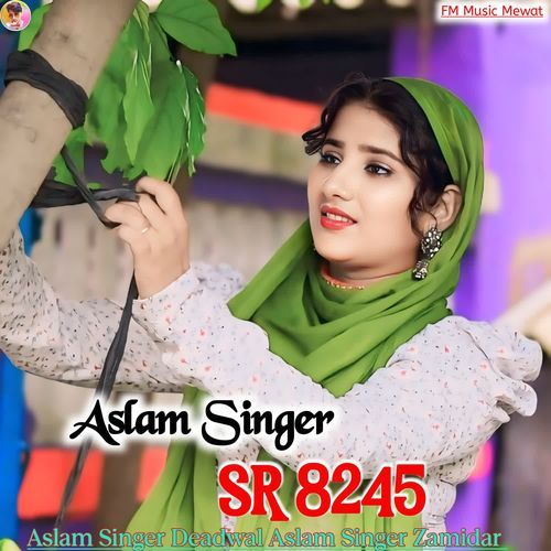 Aslam Singer SR 8245