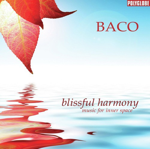 Blissful Harmony_poster_image