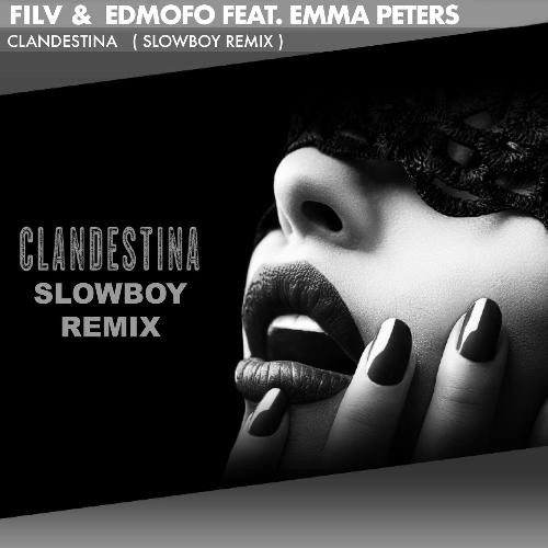 Clandestina (Slowboy Remix)_poster_image