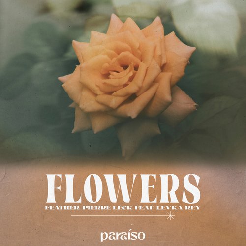 Flowers (feat. Levka Rey)_poster_image