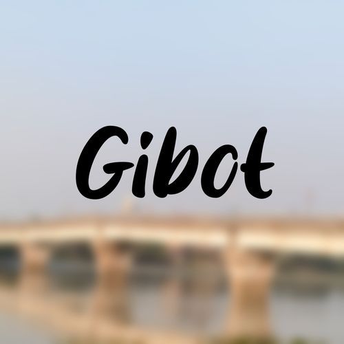 Gibot