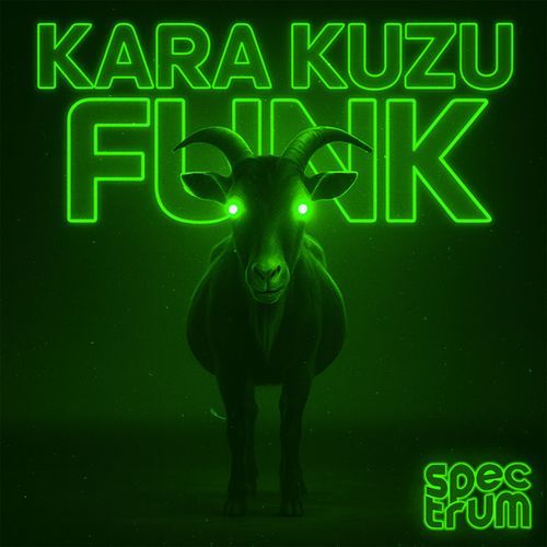 KARA KUZU FUNK