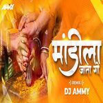 Mandila Jata Go (DJ Remix)