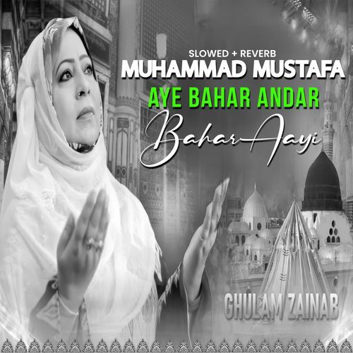 Muhammad Mustafa Aye Bahar Andar Bahar Aayi (Lofi-Mix)