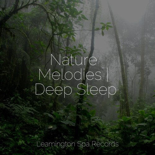 Nature Melodies | Deep Sleep