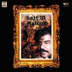 Saif Ul Malook Pt. 2