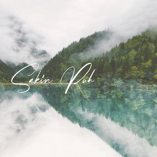 Doğanın Ruhu cover art