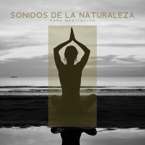 Lluvia y Truenos cover art
