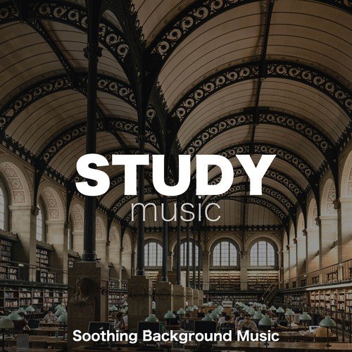 Study Music (Improve Focus and Concentration)