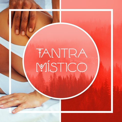 Tantra Místico: Música para un Masaje Placentero_poster_image