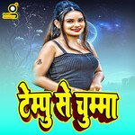 Tempu Se Chumma