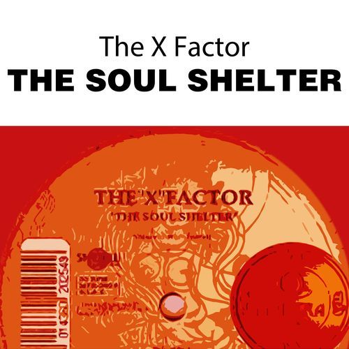 The Soul Shelter (Mr. Marvin Tribal Dub)