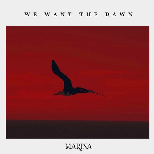 We Want the Dawn_poster_image