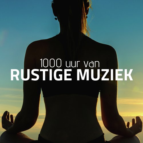 Zachte tijd cover art