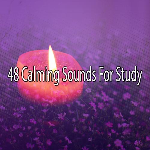 48 Calming Sounds For Study