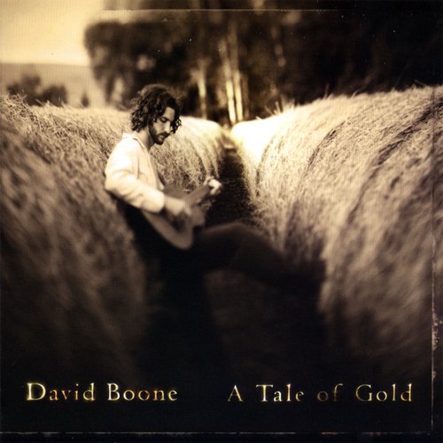 I Won't Leave You Alone