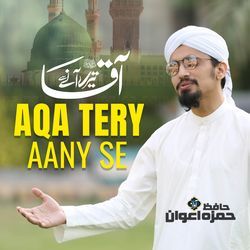 Aqa Tere Aany Se
