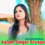Aslam Singer Sr2550