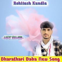 Bharathari Baba New Song-HwIjBCd6Q30