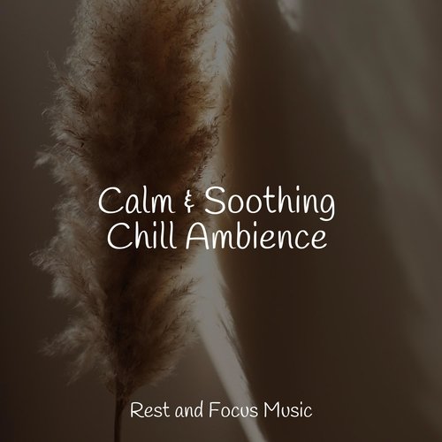 Calm & Soothing Chill Ambience