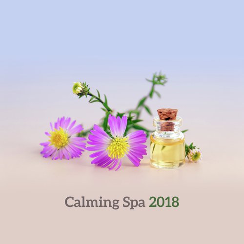 White Noise Spa cover art