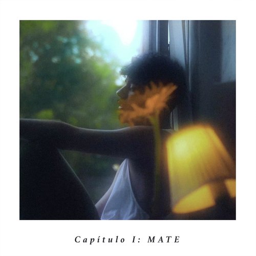 Capítulo 1: Mate