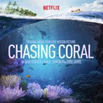 Chasing Coral