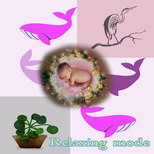 10 Months Of Mother’s Womb’s Prenatal Journey