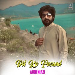 Dil Ku Pasand-KSQHRRt6BAo